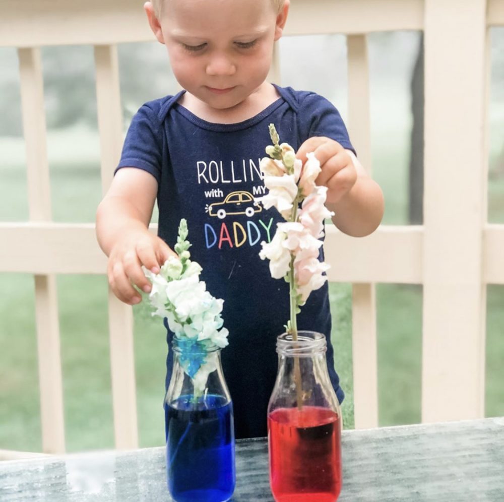 I photo of a young child touching flowers in 2 vases.  one with blue liquid in, the other with red
