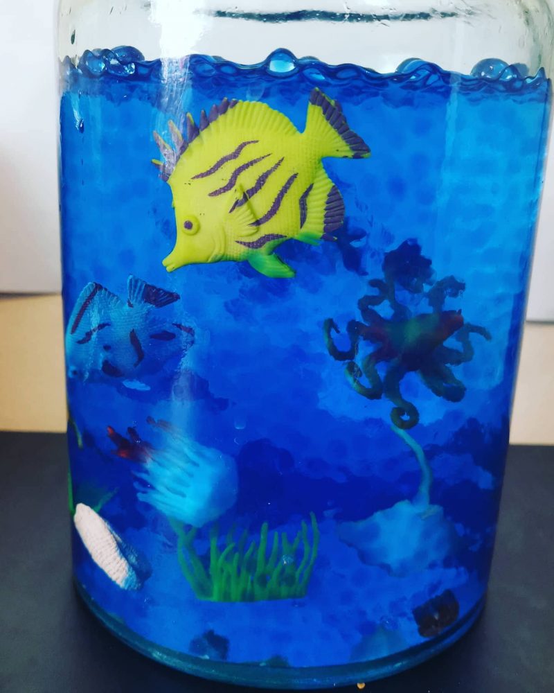 a photo of a jar with blue water and a yellow plastic fish, and an octopus.