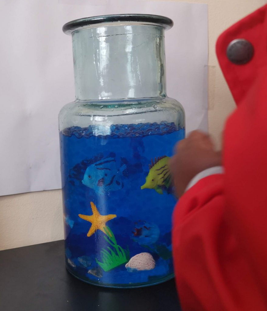 a photo of a see through jar.  inside are plastic sea animals- a blue fish, a yellow fish and a yellow starfush.  there is the edge of a red coat and a hand at the side of the photo