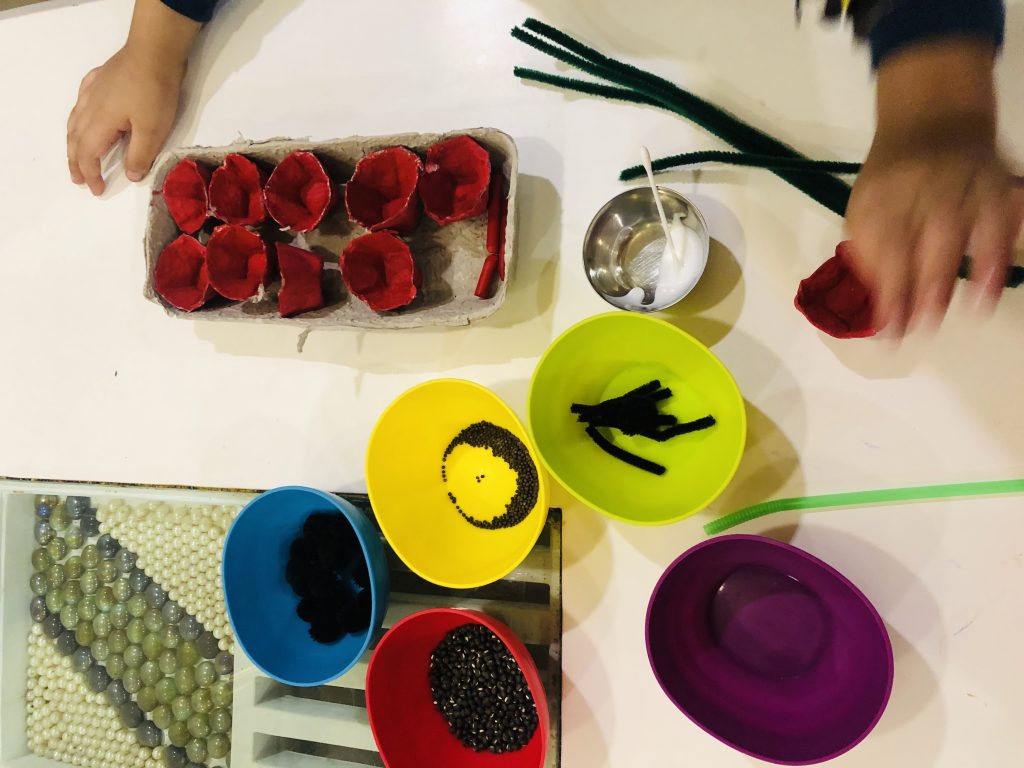 a photo of coloured plastic bowls with seeds in and dark green pipecleaners and red craft containers