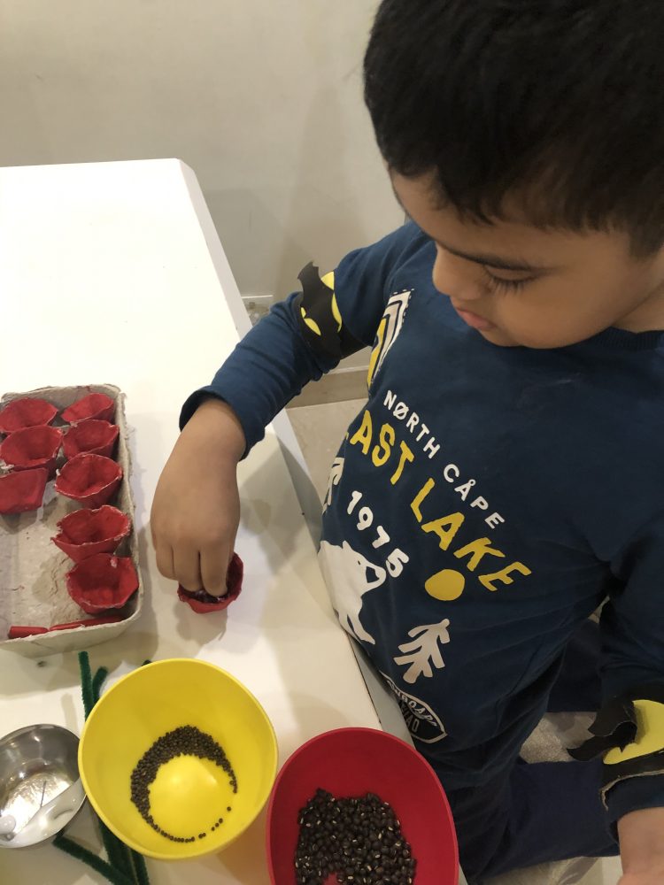 A photo of a boy sprinkling seeds in to red cardboard bowls.  there are a red and a yellow bowl on the table