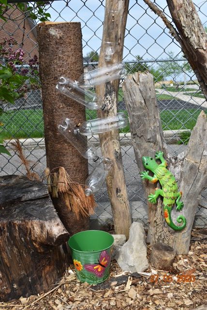 A photo of water bottles attached to tree trunks- like a waterfall, into a green bucket.  there is a lizard ornament.  