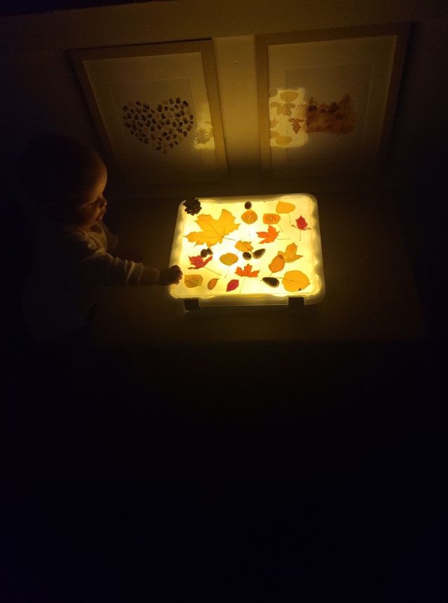 A photo of a homemade light box with leaves on and a child touching it